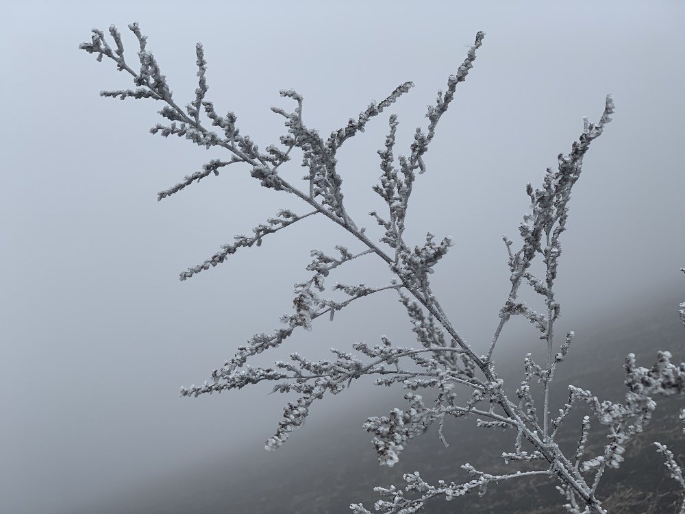 Photograph by Ольга Цветкова