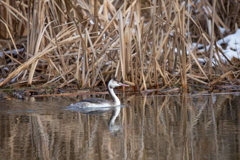 Photograph by Дмитрий Чудинин
