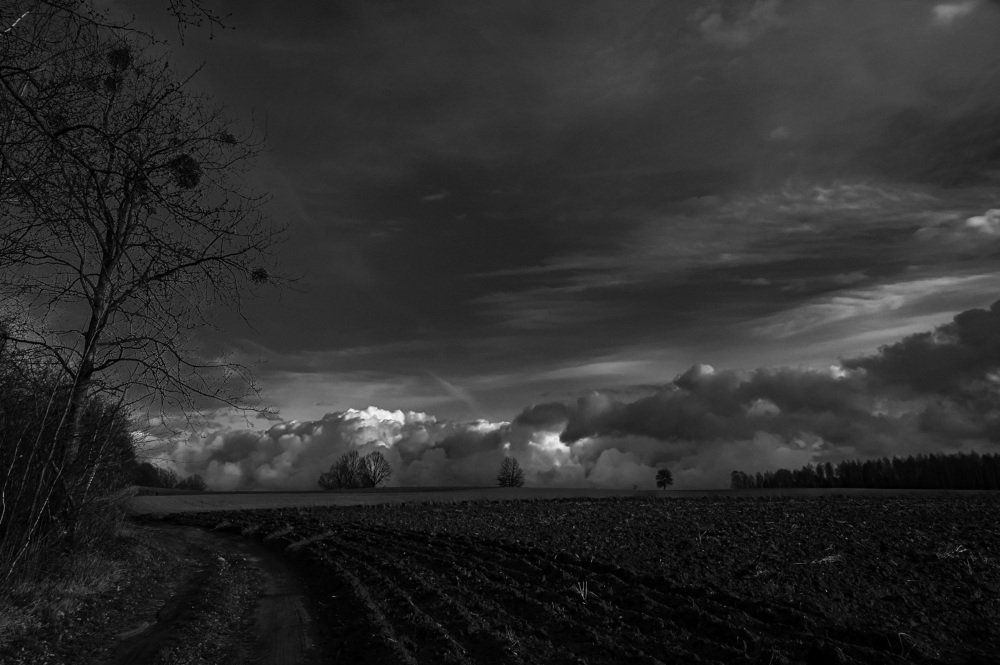 Photograph by Agnieszka Szadowiak