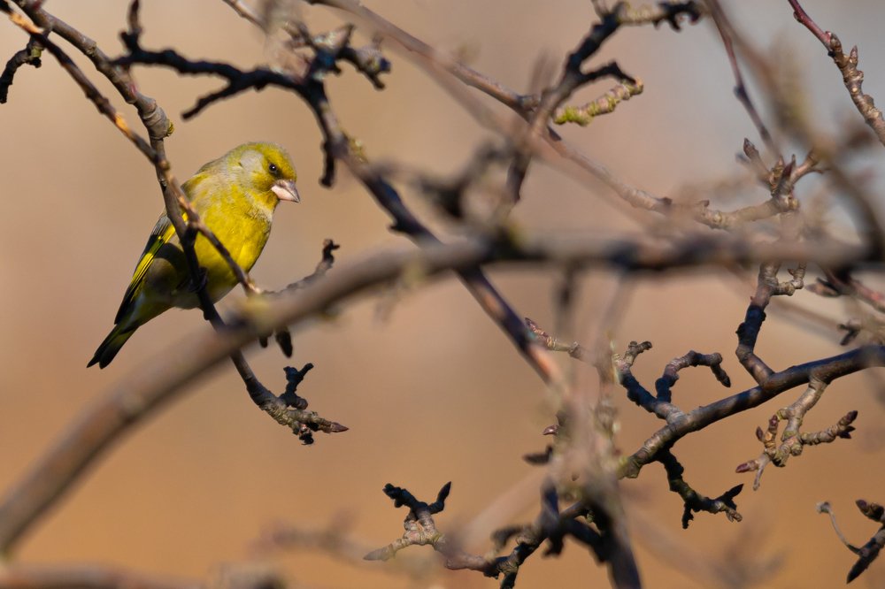Photograph by Дмитрий Чудинин