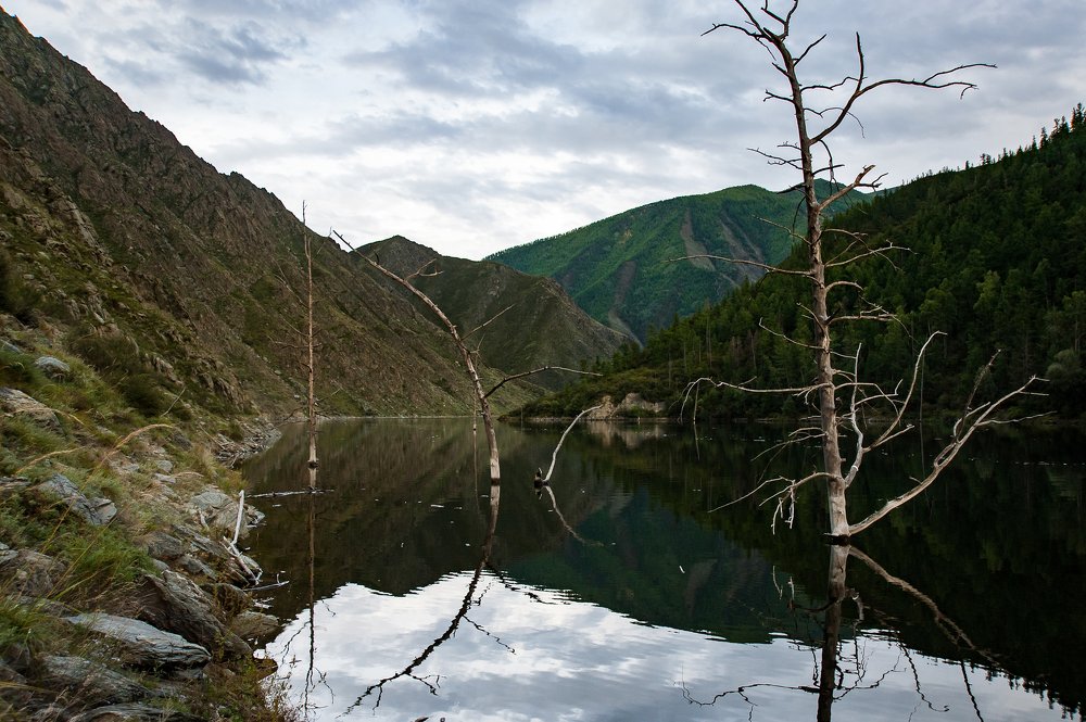 Photograph by Наталья Лобкова