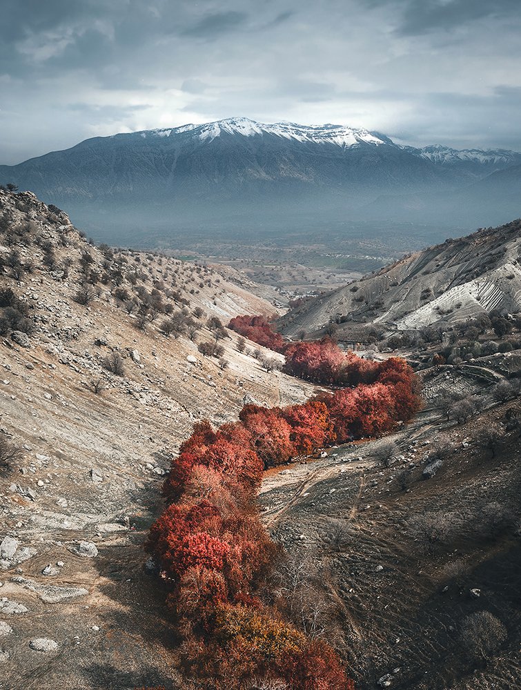 Photograph by Aref Zivdar