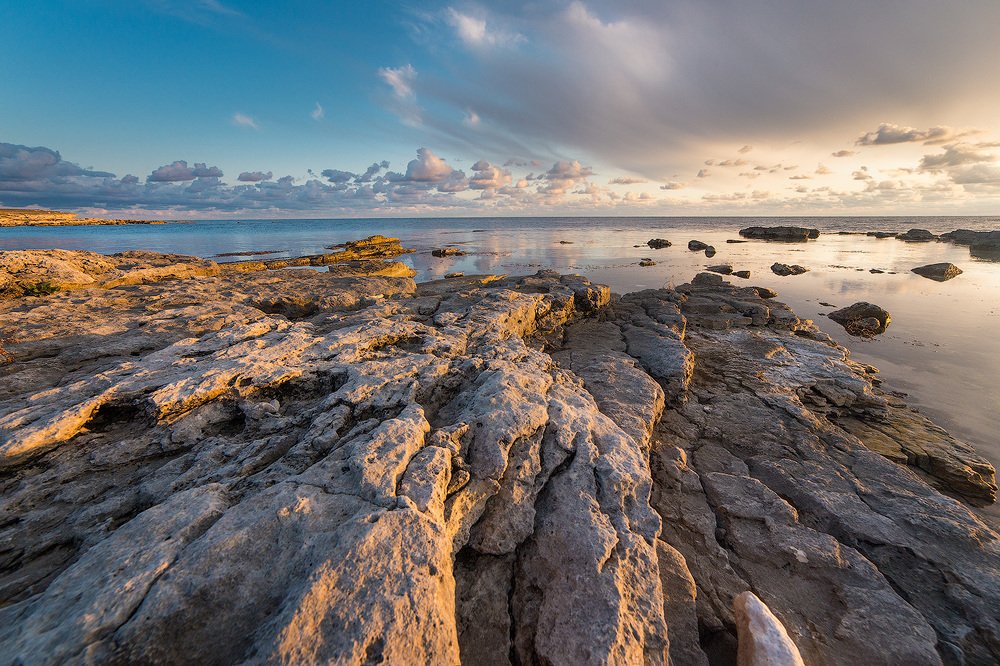 Фотография автора Голубев Дмитрий