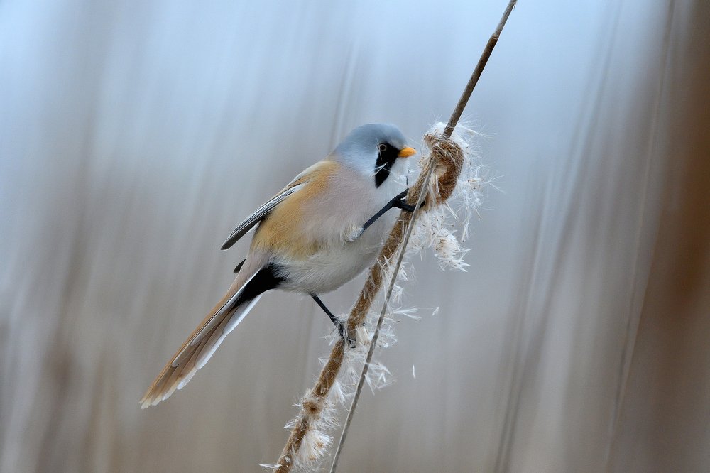 Photograph by Вячеслав Ладанов