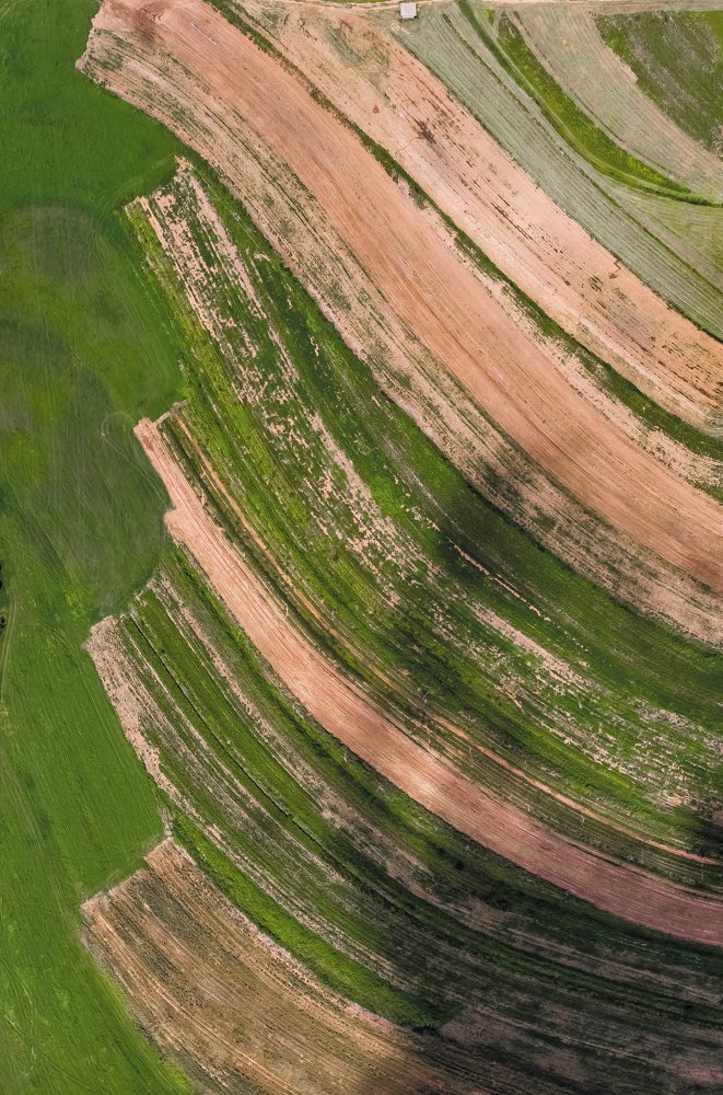 Фотография автора david xavier de carvalho