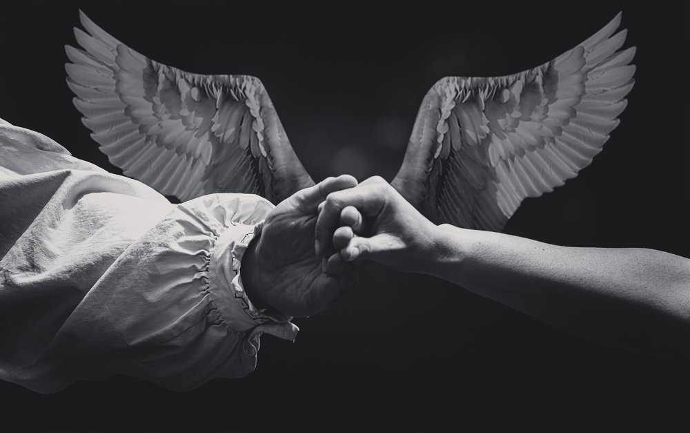 Фотография автора Amr Abozeid