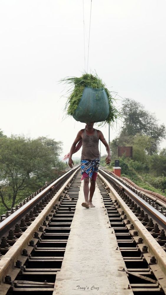 Photograph by Tathagata Chowdhury