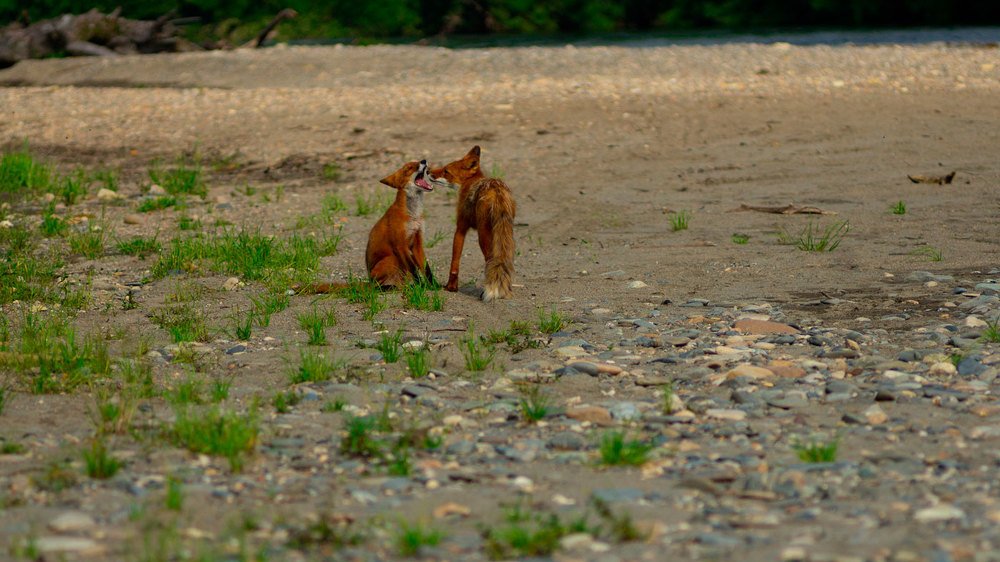 третий справа удалять)