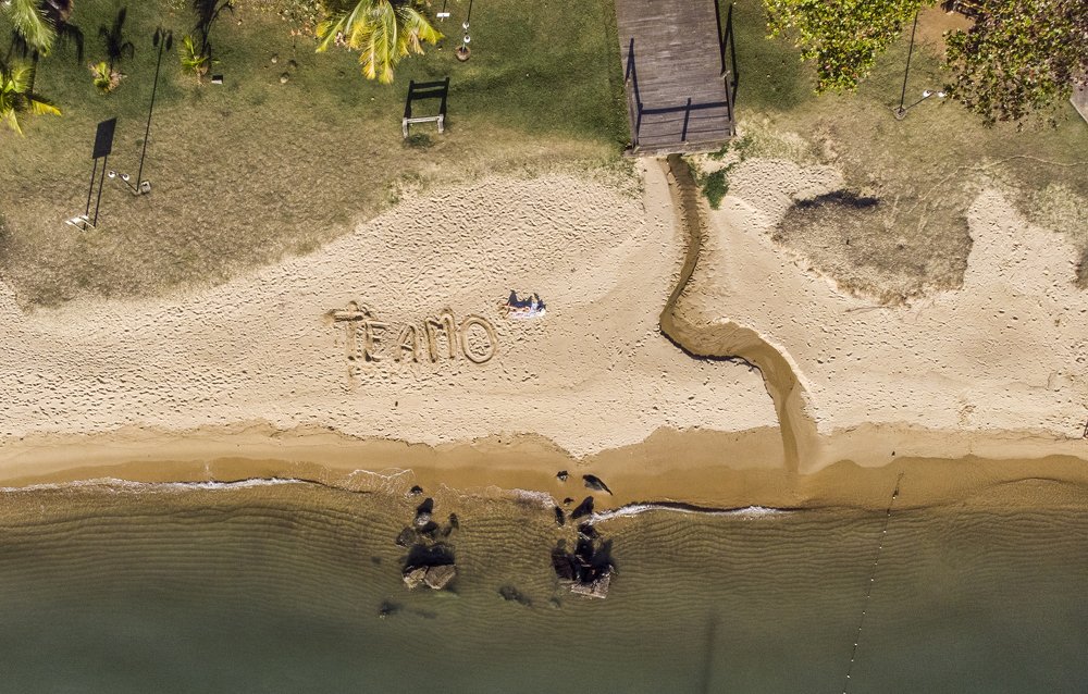 Фотография автора david xavier de carvalho