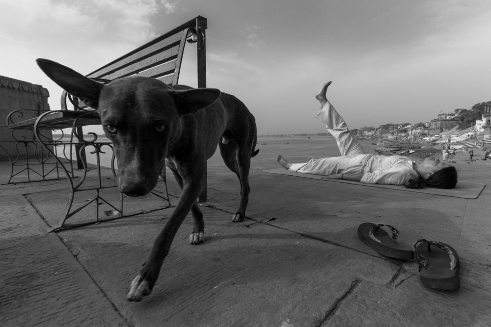 Photograph by Abhinav Vishwakarma