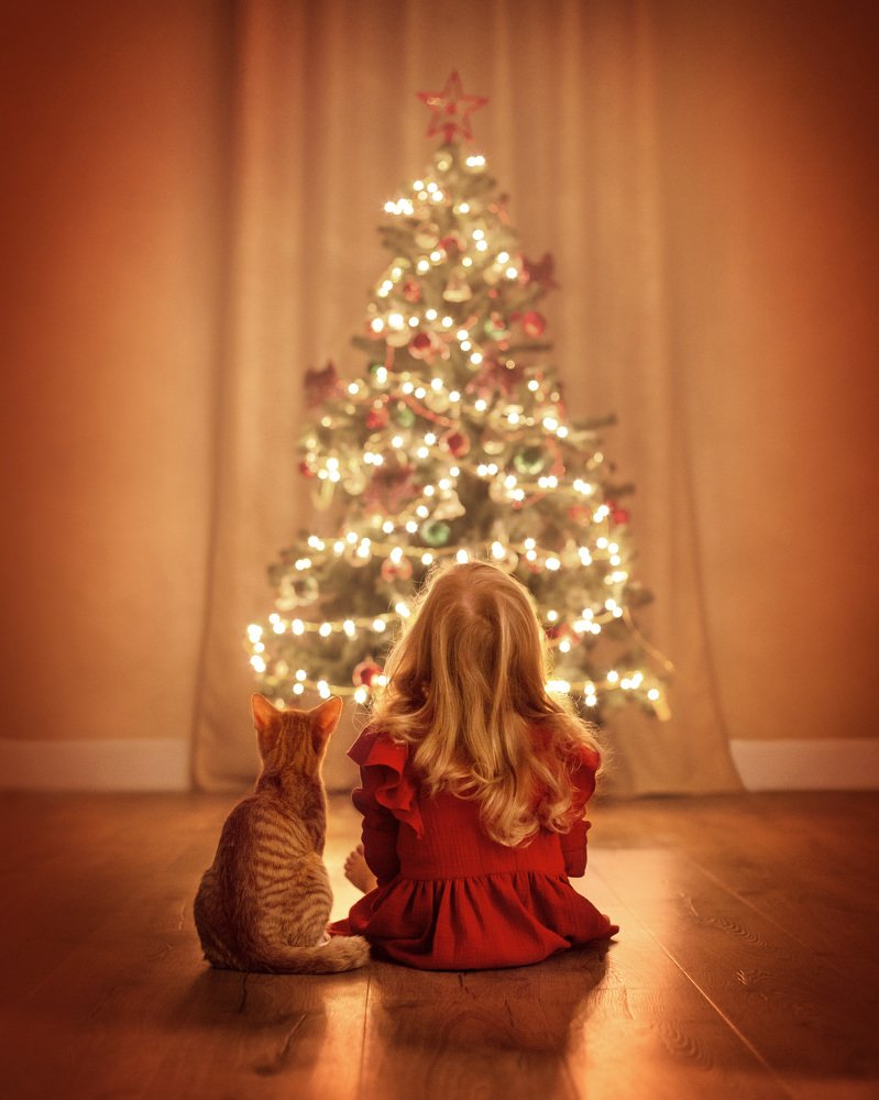 Photograph by Надежда Юркова