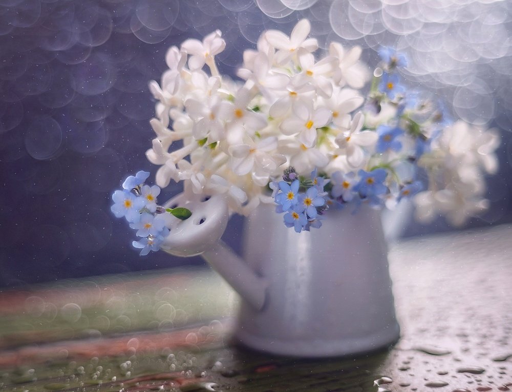 Весеннее настроение