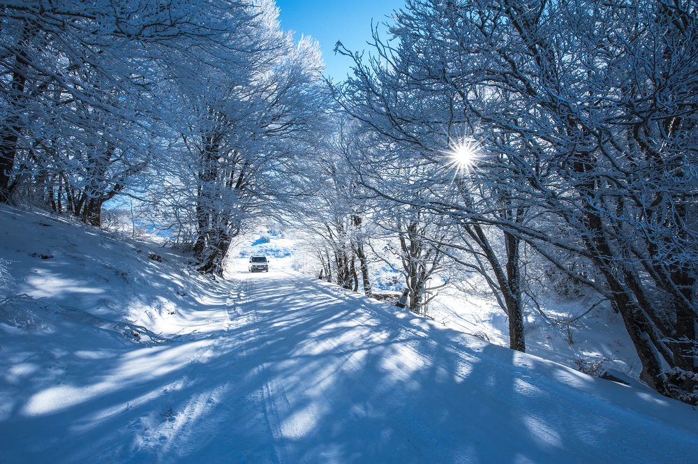 Photograph by Николай Кононов