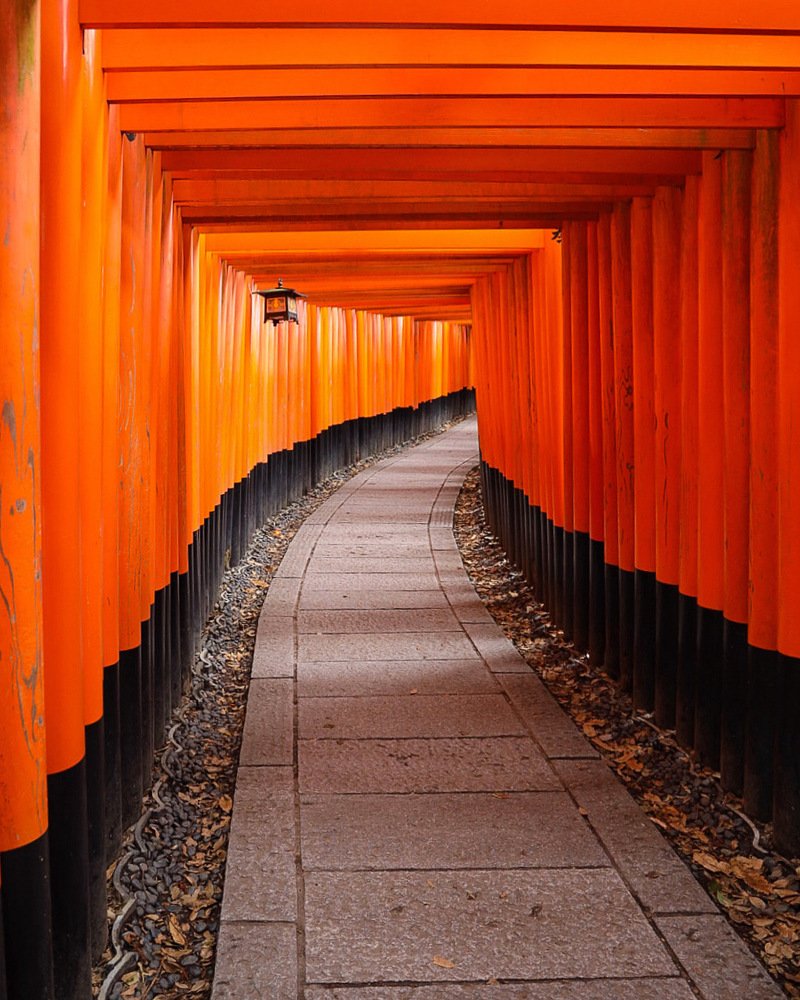 Japan. Fushimi-Inari-Taisha Shrine Senbontorii. Япония. Святилище Фусими Инари в Киото.
