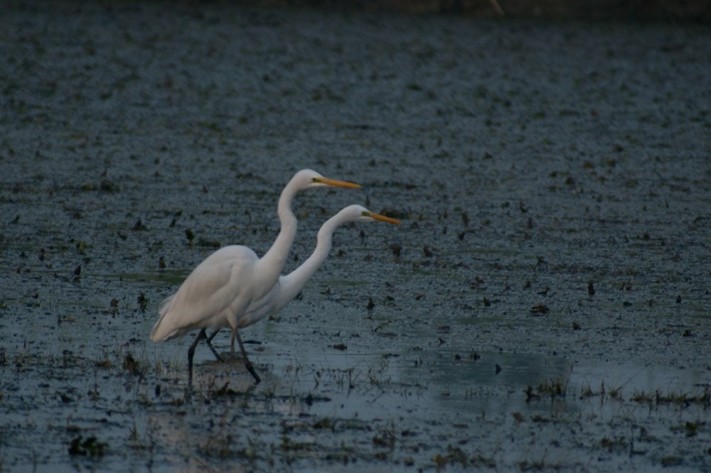 Photograph by Chaitanya gupta