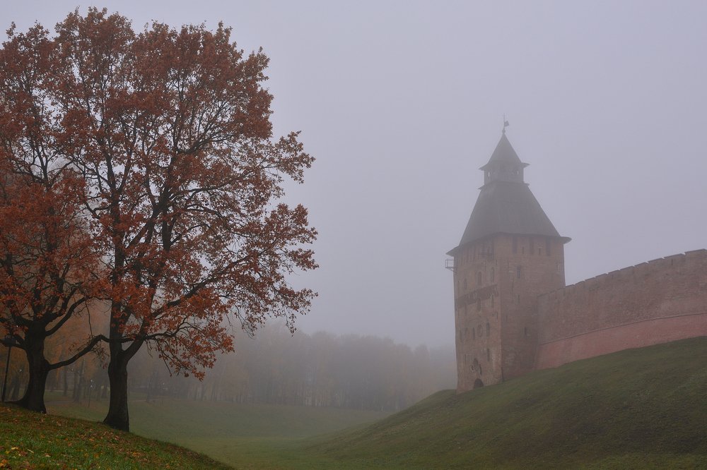 Photograph by Александр Калегин