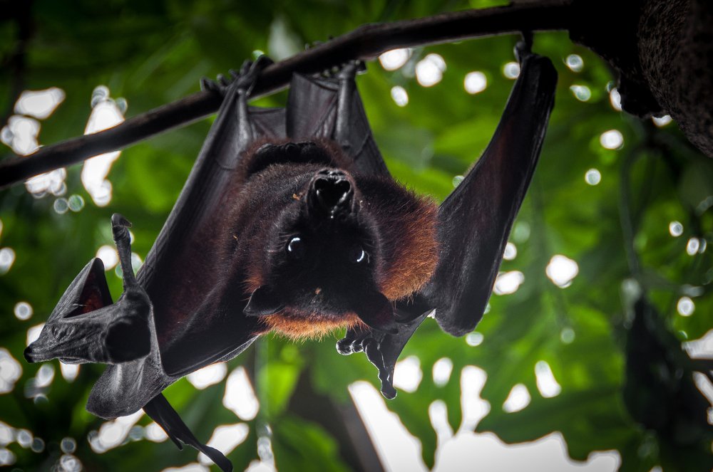 Photograph by Patrycja Sorensen