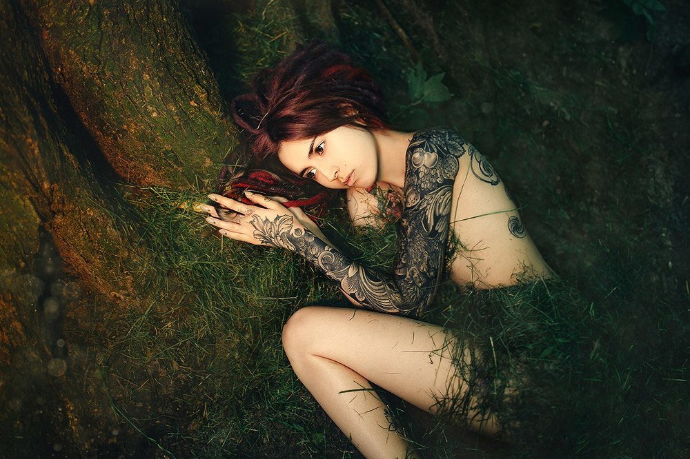 Сказочный лес