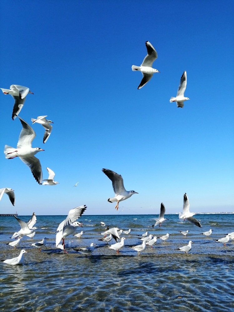 Photograph by Артем Михайличенко