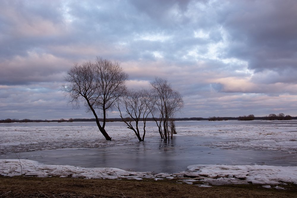 Photograph by Александр Калегин
