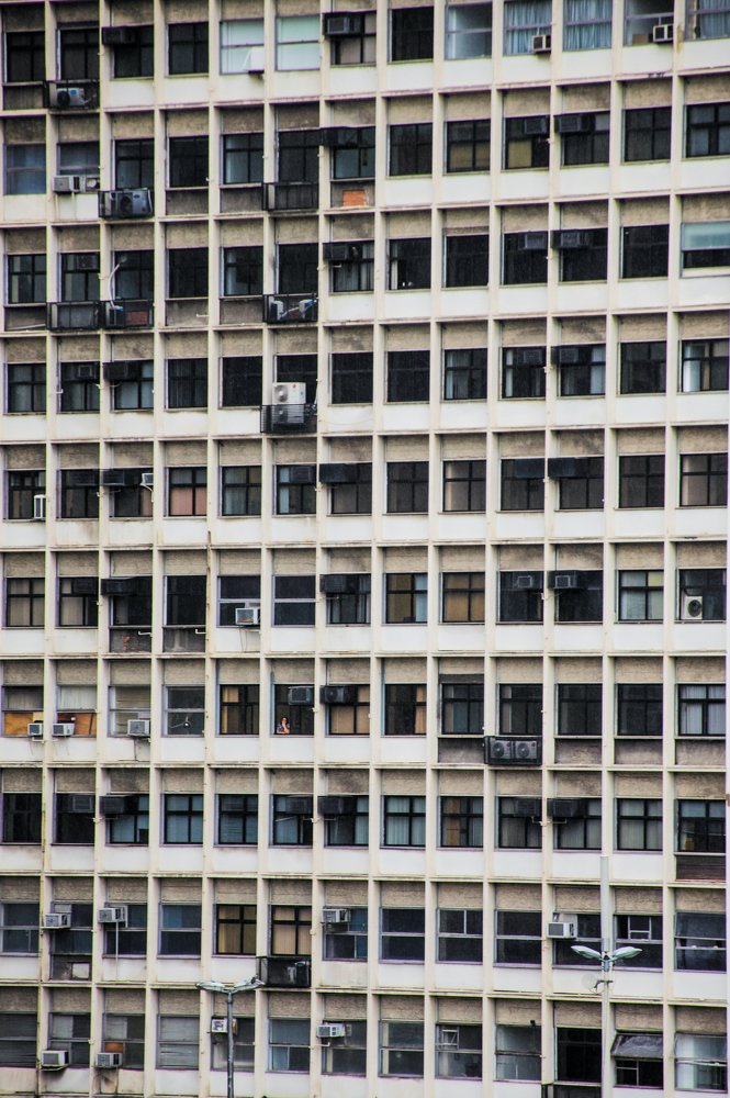 Фотография автора david xavier de carvalho