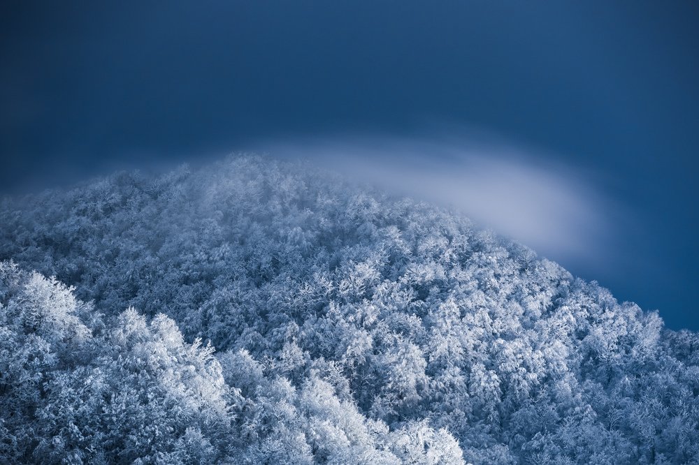 Photograph by Georgy Akimov