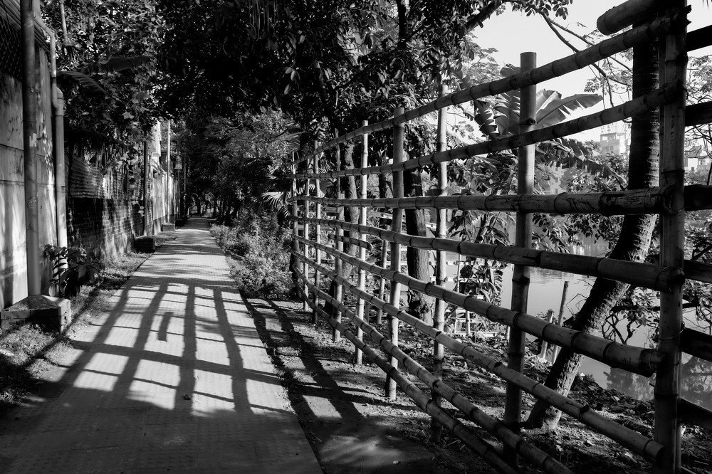 Photograph by Rawfun Rahman