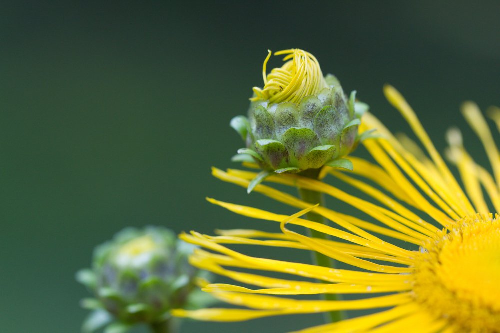 Photograph by Алексей Семенушкин