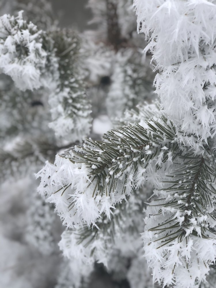 Фотография автора Ekaterina Romanova