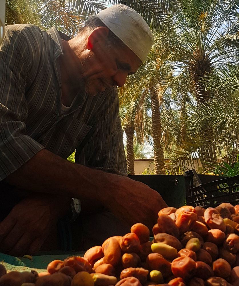 Photograph by Hussain aljassim