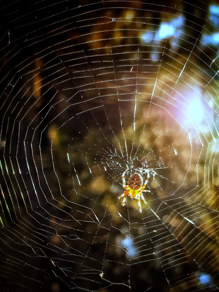 Мастер тонкой работы