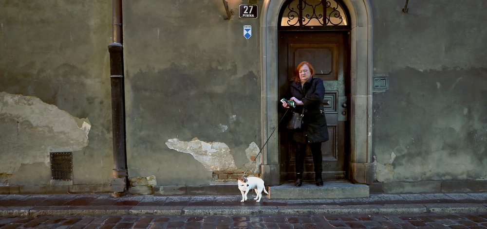 Собака выгуливает хозяйку