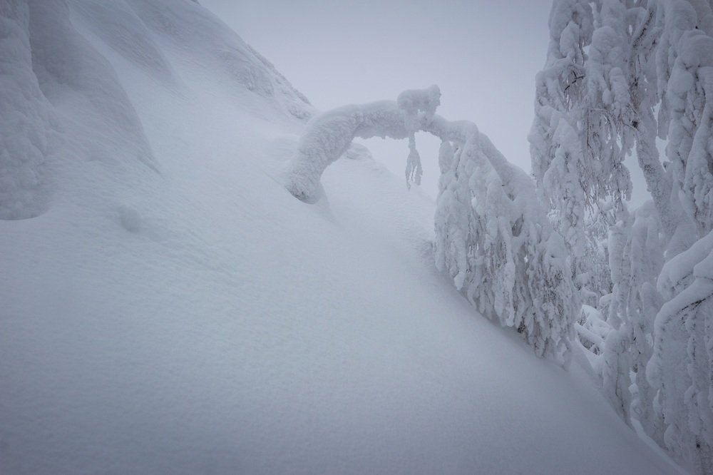 Под тяжестью снега