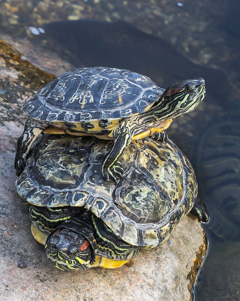 Photograph by Евгений Барзенков