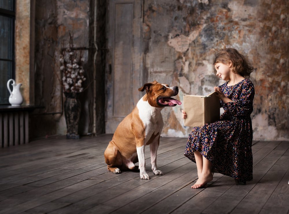 Фотография автора Алина Ланкина