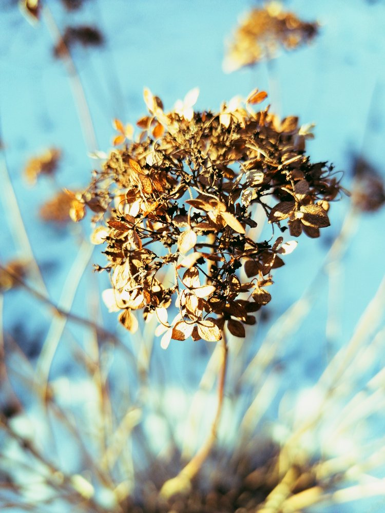 Photograph by Inna Kuznetsova