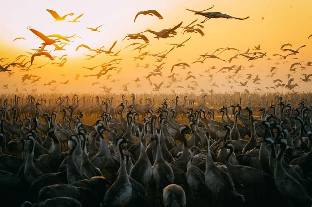 Photograph by Kazamil Farid