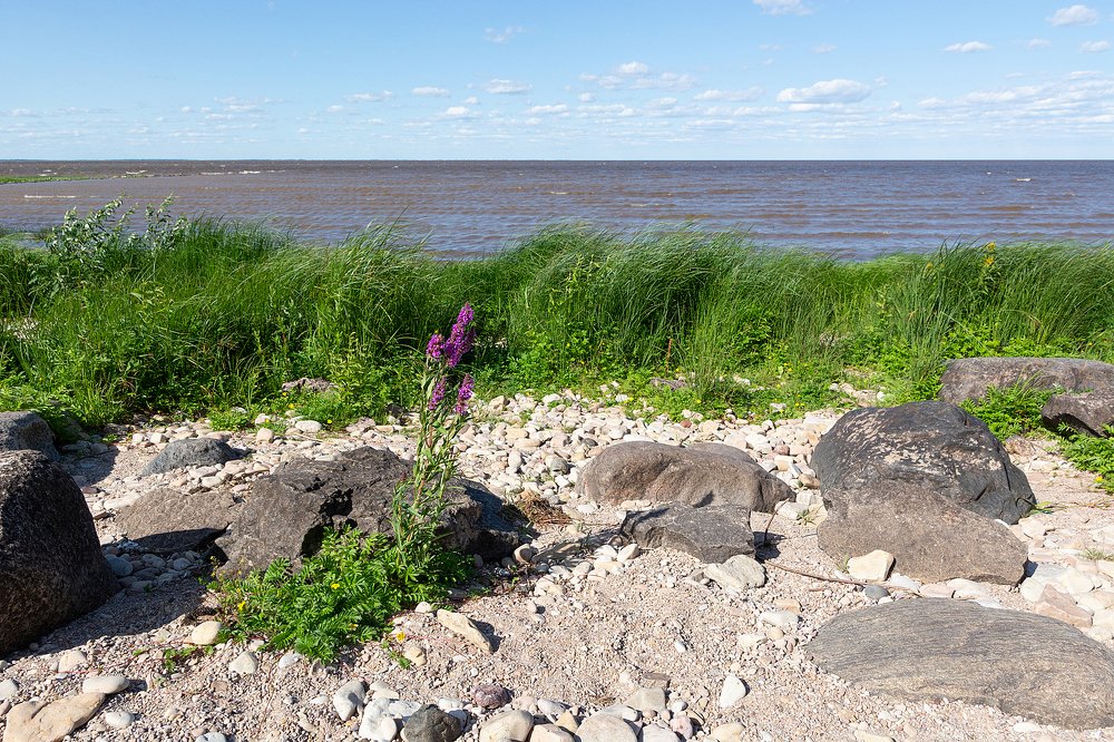 Photograph by Александр Калегин