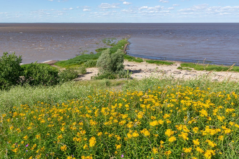 Photograph by Александр Калегин