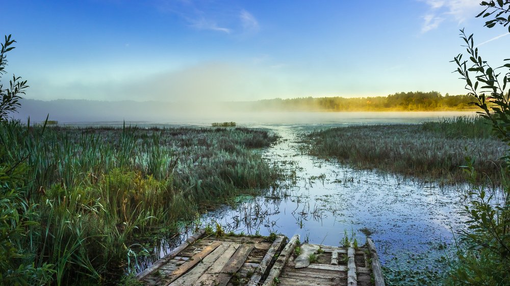 Photograph by Лев Живулин