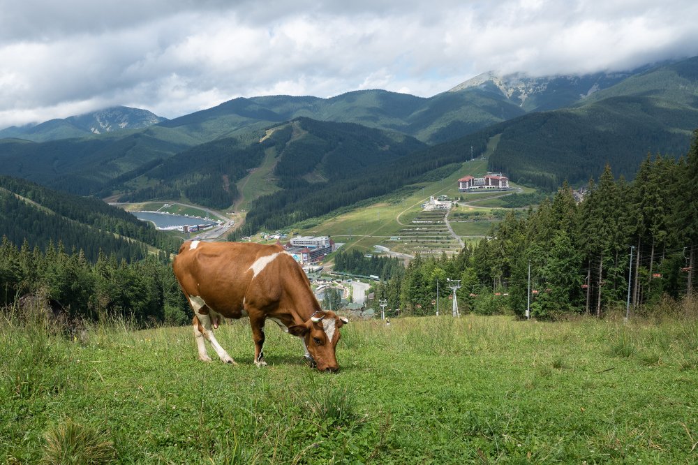 Photograph by Юрий Огуров