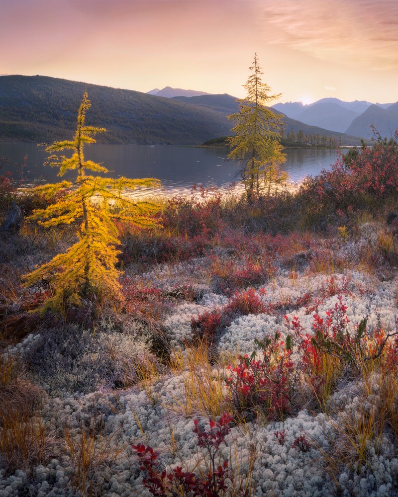 Фотография автора Дмитрий Медянцев