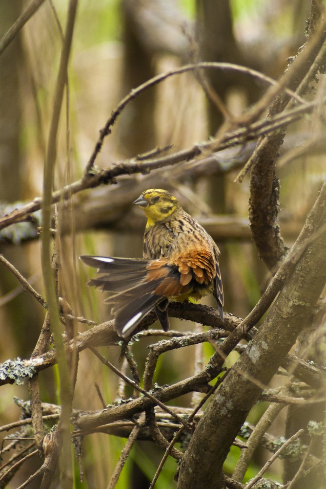 Photograph by Екатерина Бахтинова