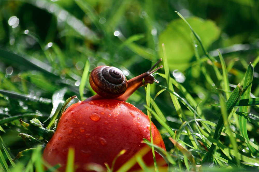 Photograph by Liguanna Anna