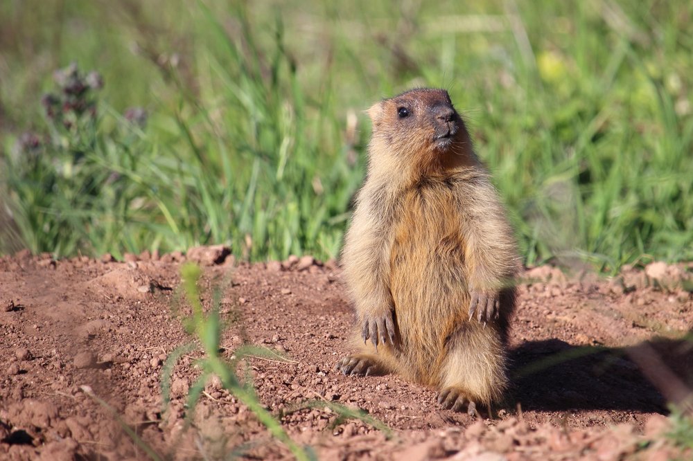 Фотография автора Дарья Шамакина