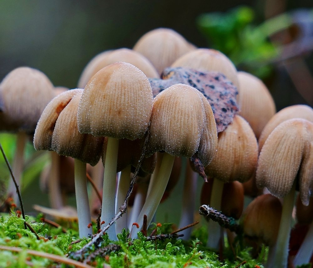 Фотография автора Valery Bel@kov