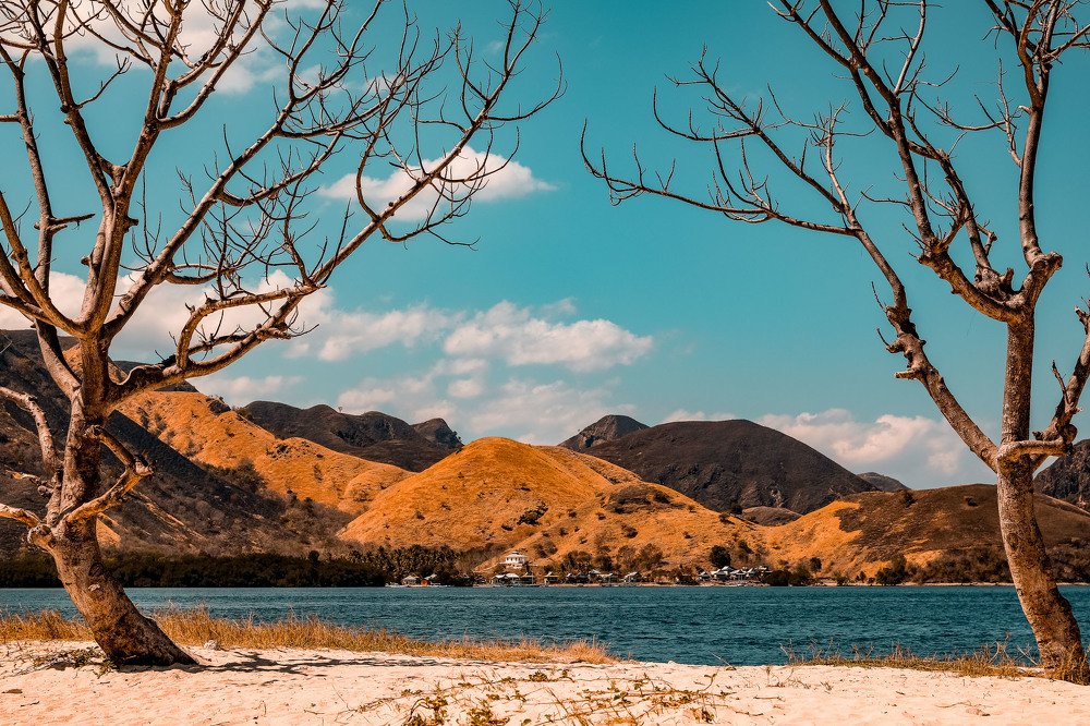 Namibian mood from Indonesia