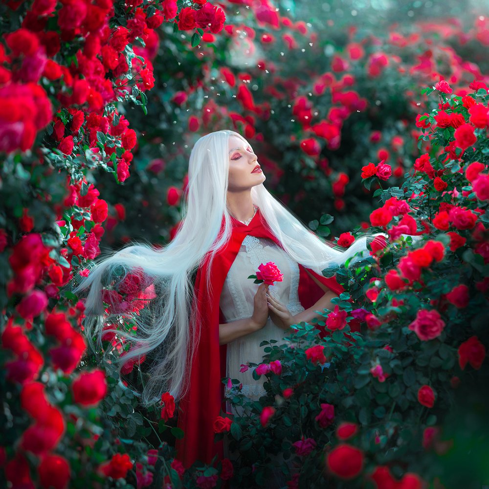 Фотография автора Мила Жданова