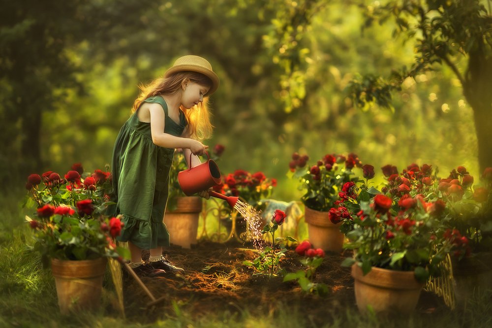 Photograph by Джейрана Сауляк