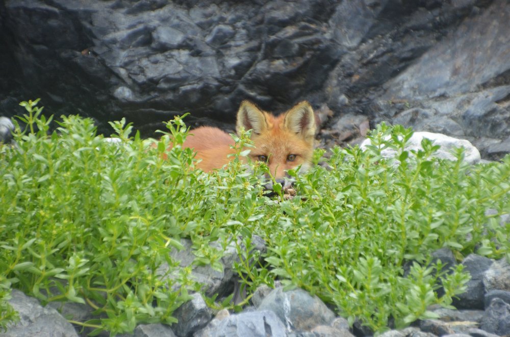 Осторожность